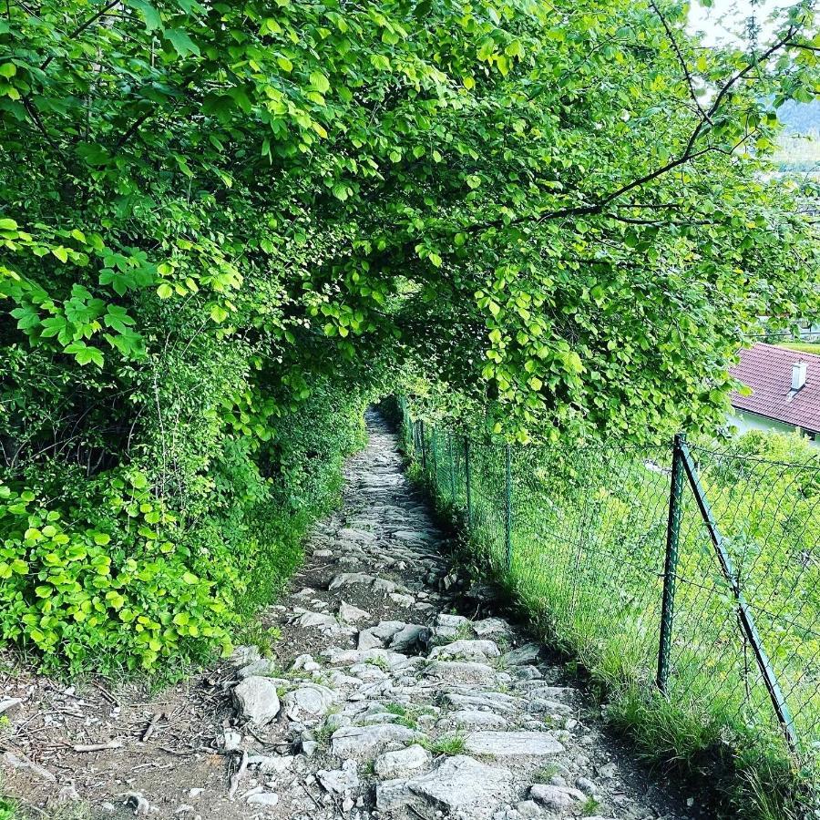 Ferienwohnung Daberer Obervellach Zewnętrze zdjęcie